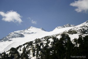 img_1206789076_917