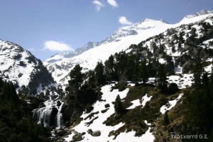 img_1206789077_727