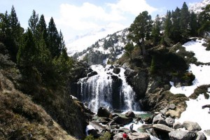 img_1206789079_389