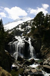 img_1206789079_453