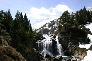 img_1206789079_992