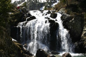 img_1206789080_404