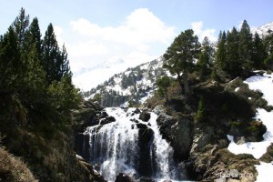 img_1206789080_66