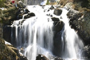 img_1206789081_472