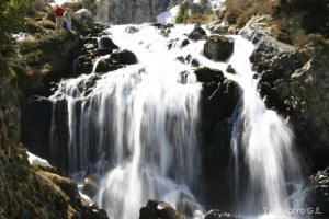 img_1206789081_846