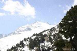 img_1206789082_558