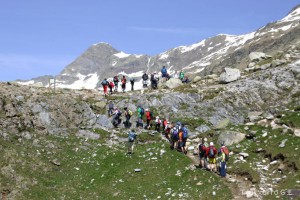 img_1206789084_721
