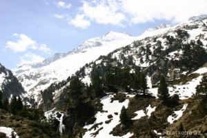 img_1206789084_791