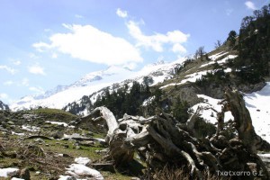 img_1206789086_400