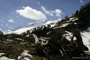 img_1206789087_981