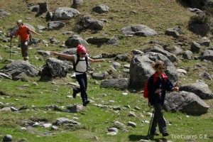 img_1206789088_630
