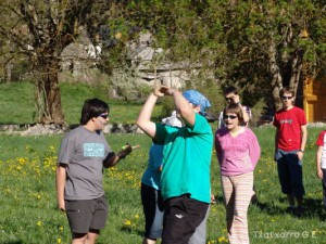 img_1225034323_750