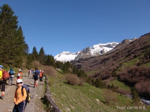 img_1225034423_523