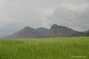img_1206788744_361