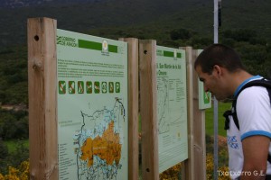 img_1206788746_125