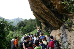 img_1206788748_444