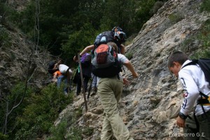 img_1206788749_636