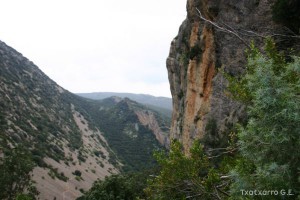 img_1206788750_115