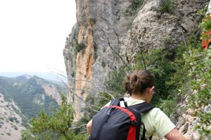 img_1206788750_803