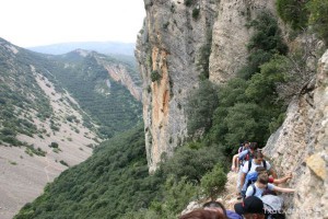 img_1206788751_811