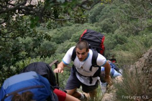 img_1206788752_561