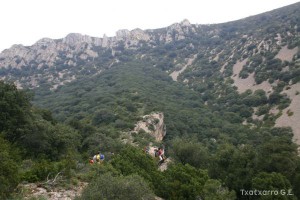 img_1206788752_665