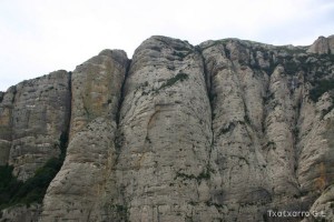 img_1206788753_46