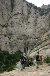 img_1206788755_829