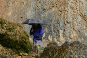 img_1206788757_771