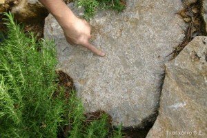 img_1206788762_545