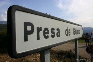 img_1206788762_781
