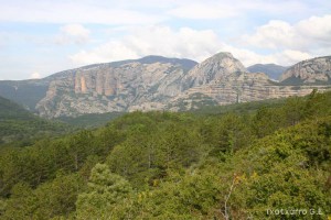 img_1206788762_786