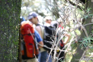 img_1206788764_876