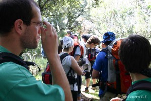 img_1206788765_447