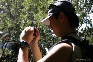 img_1206788765_608