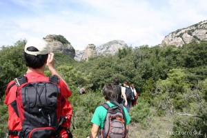 img_1206788766_170
