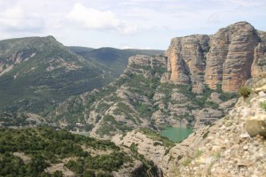 img_1206788768_167
