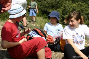img_1206788769_350