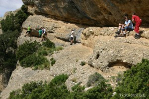 img_1206788770_906
