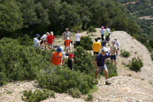 img_1206788771_253