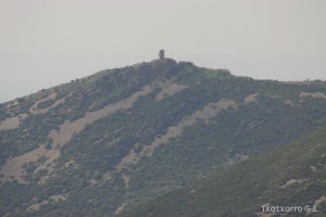 img_1206788772_441