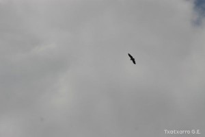 img_1206788774_10