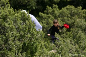 img_1206788775_736
