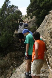 img_1206788777_264