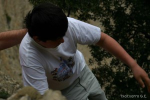 img_1206788778_782