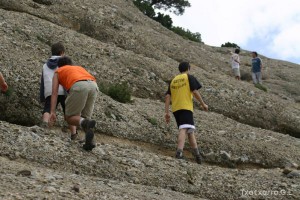 img_1206788779_132