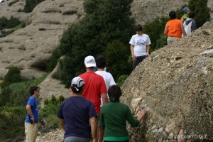 img_1206788779_853