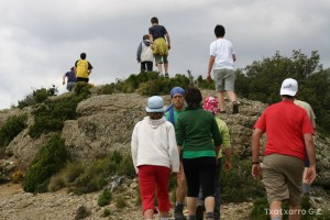 img_1206788780_288