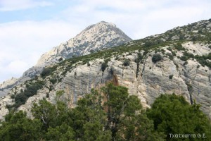 img_1206788781_468