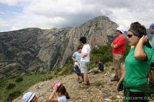 img_1206788781_602